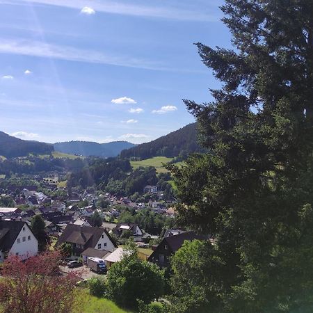 Traumblick Fewo Mit Pool Baiersbronn Kültér fotó