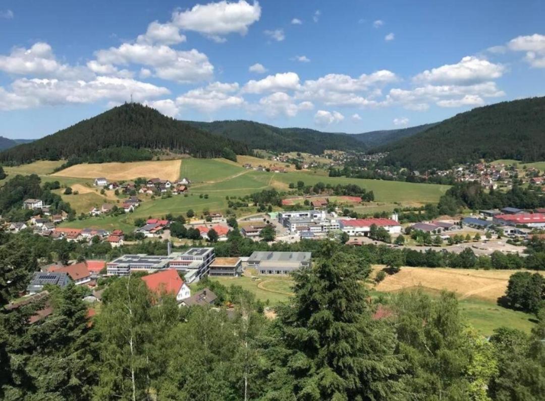 Traumblick Fewo Mit Pool Baiersbronn Kültér fotó