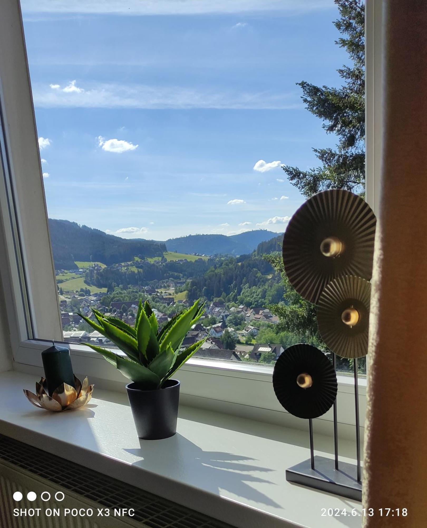 Traumblick Fewo Mit Pool Baiersbronn Kültér fotó
